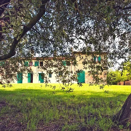 Semesterbostad In With Pool