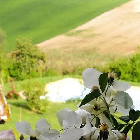 Authentic Casale Le Fontanelle With Pool And Garden In